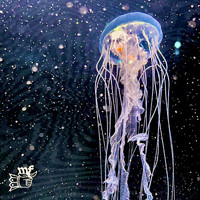 Mums Favourite - Jellyfish Rain (Explicit)