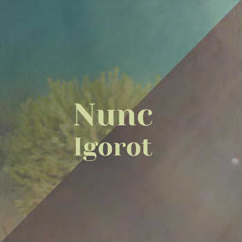 Various Artists - Nunc Igorot