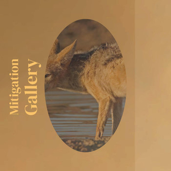 Various Artists - Mitigation Gallery