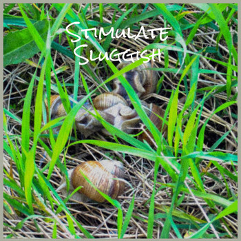 Various Artists - Stimulate Sluggish