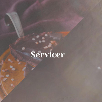 Various Artists - Servicer