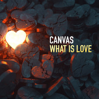 Canvas - What Is Love