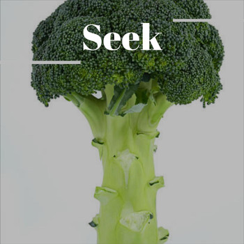 Various Artists - Seek