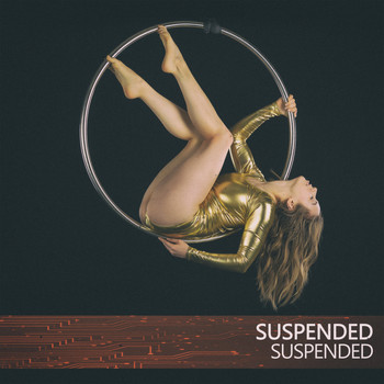 Suspended - Suspended