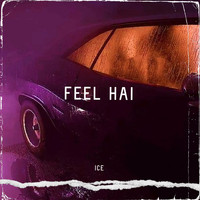 Ice - Feel Hai (Explicit)