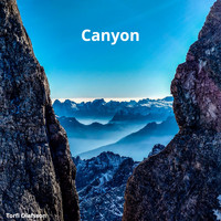 Torfi Olafsson - Canyon