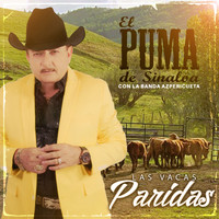 El Puma De Sinaloa - Las Vacas Paridas