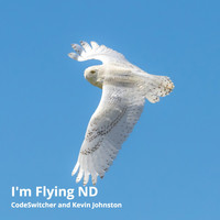 Codeswitcher / Kevin Johnston - I'm Flying Nd
