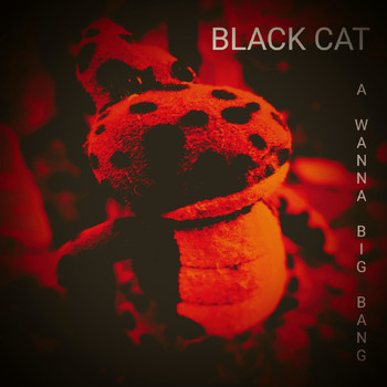Black Cat - A Wanna Big Bang