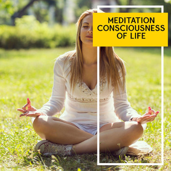 Various Artists - Meditation Consciousness of Life