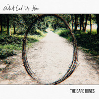 The Bare Bones - What Led Us Here