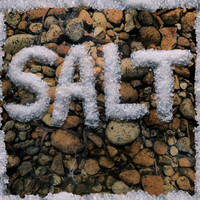 Brody - SALT