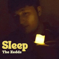 The Zedds - Sleep
