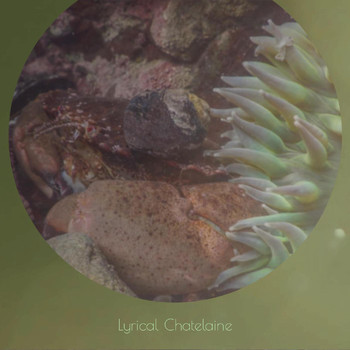 Various Artists - Lyrical Chatelaine
