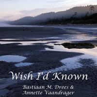 Bastiaan M. Drees - Wish I'd Known