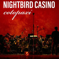 Nightbird Casino - Cotopaxi