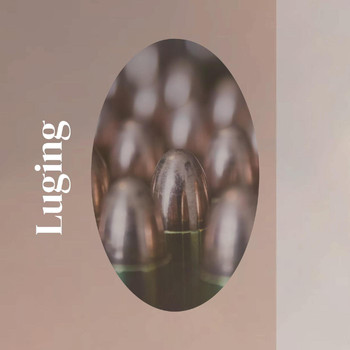 Various Artists - Luging