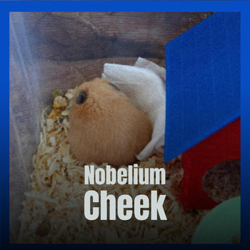 Various Artists - Nobelium Cheek