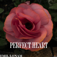 Emil Lonam - Perfect Heart