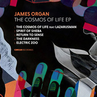 James Organ - The Cosmos Of Life EP