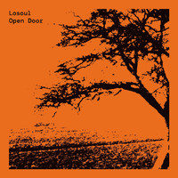 Losoul - Open Door (Expanded Edition)