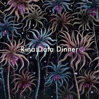 Rina - Data Dinner