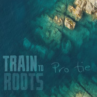 Train To Roots - Pro Tie