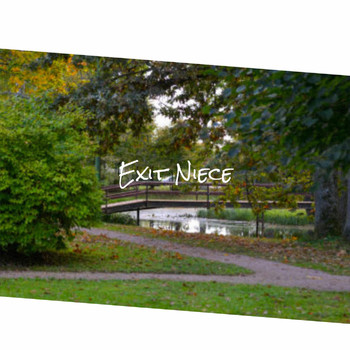 Various Artists - Exit Niece