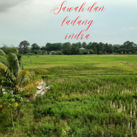 Indra - Sawah Dan Ladang