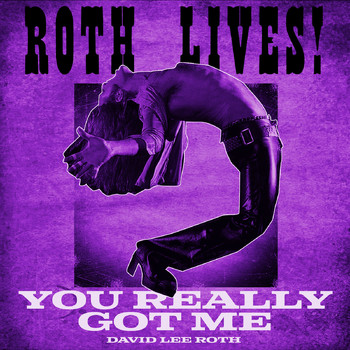 David Lee Roth - You Really Got Me