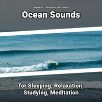 Wave Noises & Ocean Sounds & Nature Sounds - z Z z Ocean Sounds for Sleeping, Relaxation, Studying, Meditation