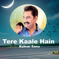 Kumar Sanu - Tere Kaale Hain