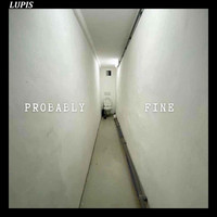 Lupis - Probably Fine (Explicit)