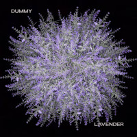 Kika - Dummy / Lavender