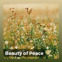 Deep Sleep Brown Noise - Beauty of Peace