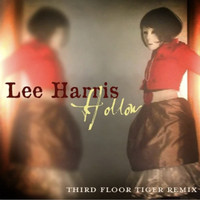 Lee Harris - Hollow (Third Floor Tiger Remix)