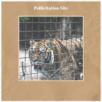 Various Artists - Pollicitation Site