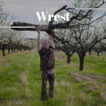 Various Artists - Wrest