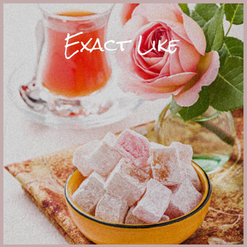 Various Artists - Exact Like