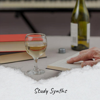 Various Artists - Study Synths