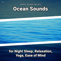 Wave Noises & Ocean Sounds & Nature Sounds - z Z z Ocean Sounds for Night Sleep, Relaxation, Yoga, Ease of Mind