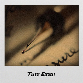 Various Artists - This Essai