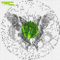 Kermode - Moth On The Map