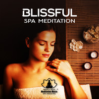 Mindfulness Meditation Music Spa Maestro - Blissful Spa Meditation (Delicate Sounds for Spa and Meditation to Relax Your Mind)