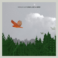 Venus Hum - Sing Like a Bird