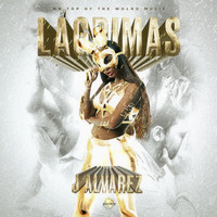 J Alvarez - Lagrimas