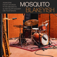 Mosquito - Blakeyish
