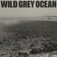 Sam Fender - Wild Grey Ocean (Explicit)