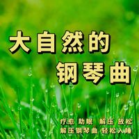 张宇桦 - 大自然的钢琴曲