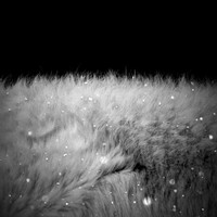 Marcel Cranc - L'enemic